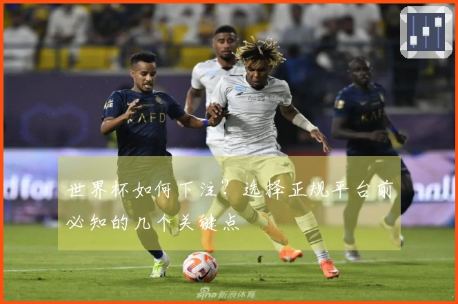 世界杯如何下注？选择正规平台前必知的几个关键点