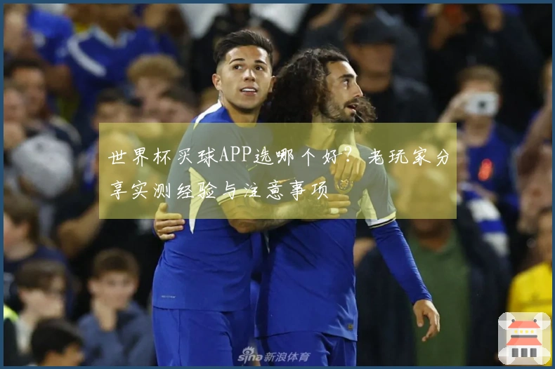 世界杯买球APP选哪个好？老玩家分享实测经验与注意事项