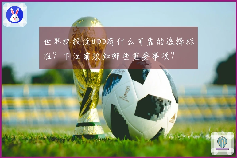 世界杯投注app有什么可靠的选择标准？下注前须知哪些重要事项？