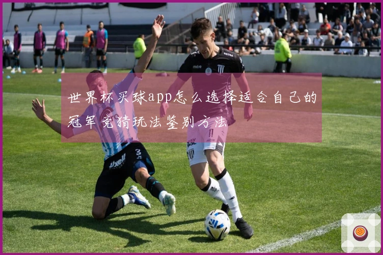 世界杯买球app怎么选择适合自己的冠军竞猜玩法鉴别方法