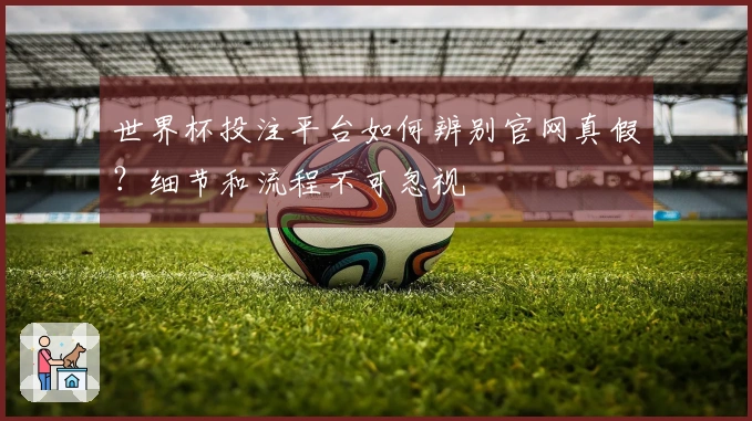世界杯投注平台如何辨别官网真假？细节和流程不可忽视
