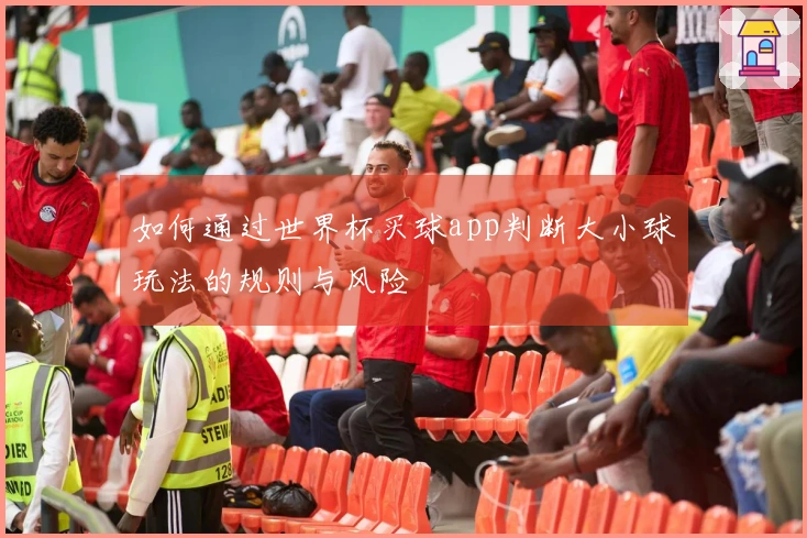 如何通过世界杯买球app判断大小球玩法的规则与风险