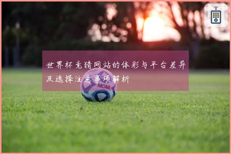 世界杯竞猜网站的体彩与平台差异及选择注意事项解析
