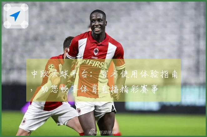 中欧买球平台：官方使用体验指南，助您畅享体育直播精彩赛事