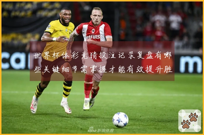 世界杯体彩竞猜投注记录复盘有哪些关键细节需掌握才能有效提升胜率