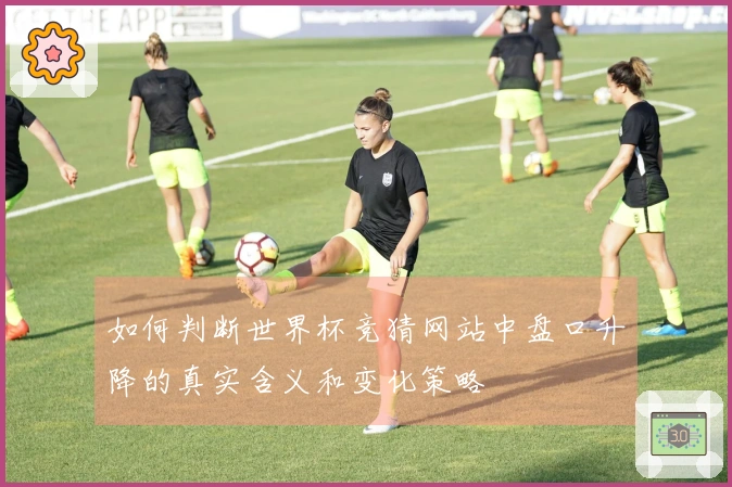 如何判断世界杯竞猜网站中盘口升降的真实含义和变化策略