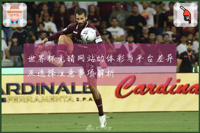 世界杯竞猜网站的体彩与平台差异及选择注意事项解析