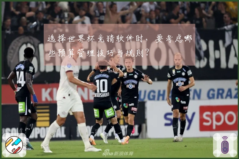 选择世界杯竞猜软件时，要考虑哪些预算管理技巧与规则？