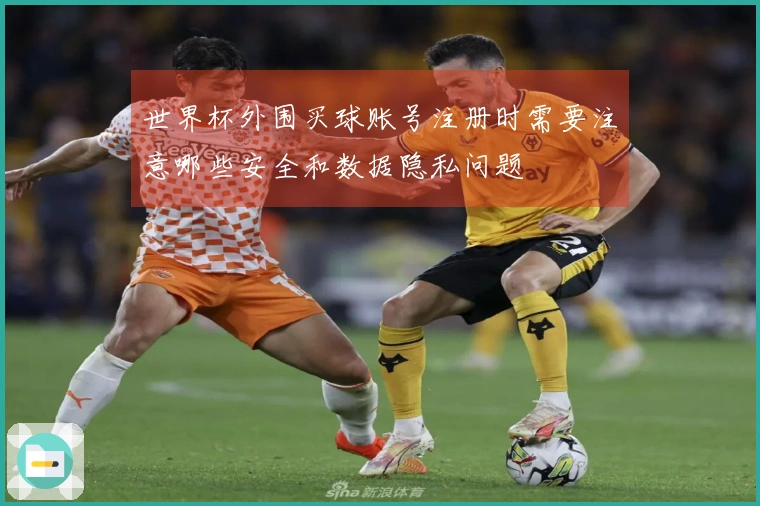 世界杯外围买球账号注册时需要注意哪些安全和数据隐私问题