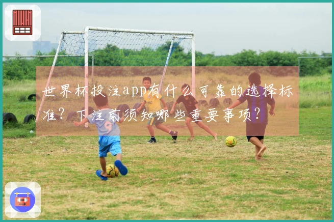 世界杯投注app有什么可靠的选择标准？下注前须知哪些重要事项？