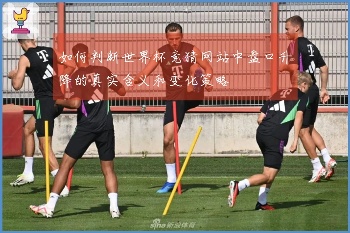 如何判断世界杯竞猜网站中盘口升降的真实含义和变化策略
