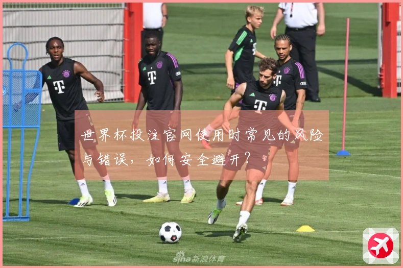 世界杯投注官网使用时常见的风险与错误，如何安全避开？